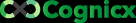 Cognicx It Solutions