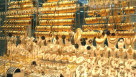 Zam Zam Jewellery Trading