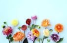 Expressions Flowers