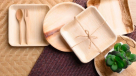 Eco And Raw Biodegradable & Compostable Products Trading