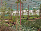 Lush Green Landscape & Gardening Works