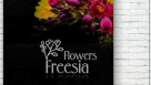 Freesia Flowers Trading