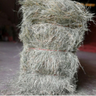 Aynan Fodder Trading