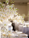 Wasl Ballroom