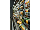 Alico Al Madina Hypermarket
