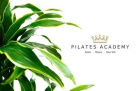 The Pilates Academy
