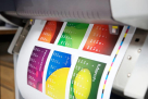 Print Art Crow Design & Printing Services