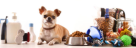 Aqua Pet Care