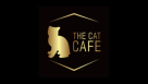 The Cat Cafe