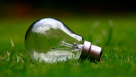 Echome Electrical Trading