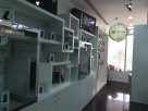 Cygnus Telecom