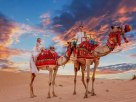 Eagle Way Tourism