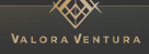 Valentura Project Management Services Company
