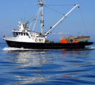 Blue Lagoon Ships And Boats Maintenance Services