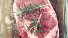 Acti International Foodstuff Trading
