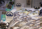 Oman Fisheries