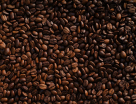 Culture Coffee
