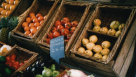 Shams Al Jazeera Grocery L.l.c