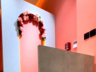 Golden Pearl Beauty Salon