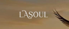 Lasoul Belgium Chocolate