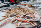 Sea House Foodstuffs Trading