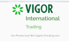 Vigor International Trading