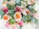 The Flower Company