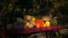Al Aweer Star Foodstuff Trading