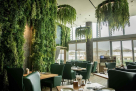 Banya Forrest