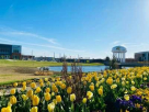 Cultivate Design Build Landscape