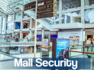 Al Hisan Al Abyadh Security Services