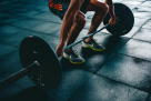 Gymaholics Pt Studio
