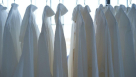 Laundrex Dry Cleaning Services
