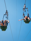 Blue Star Travel And Tourism