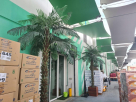 Dateland Foodstuffs