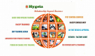 HYGEIA QUALITY CONSULTANTS