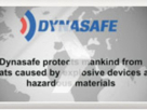 Dynasafe M E Project Management