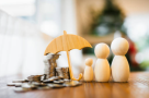Swan Insurance Management Agency