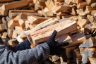Trans Carbo Coal & Firewood Trading