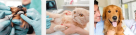 Pet Point Veterinary Clinic