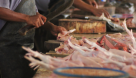 Nahr Almadina Meat Seller