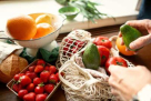 Freshco Grocery