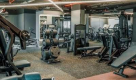 Gym Town Body Building