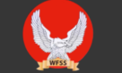 Silver Falcon Security Services