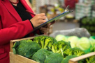 Ali Al Shaihani Foodstuff Trading
