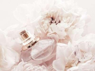 Europa Gold Perfumes Trading