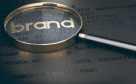 Vitoly Branding Services
