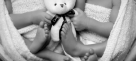 The Baby Studio