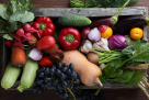 Bees Vegetables And Fruit Trading
