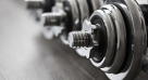 Avani ​gym